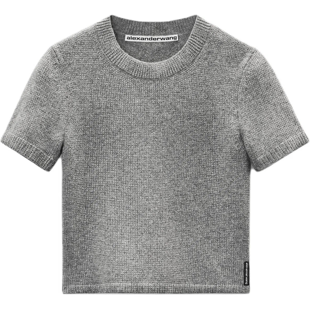 alexander wang FW25T