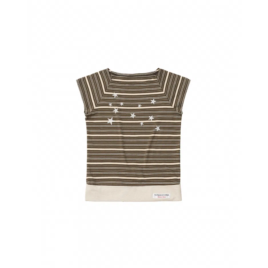 THE MUSEUM VISITOR T