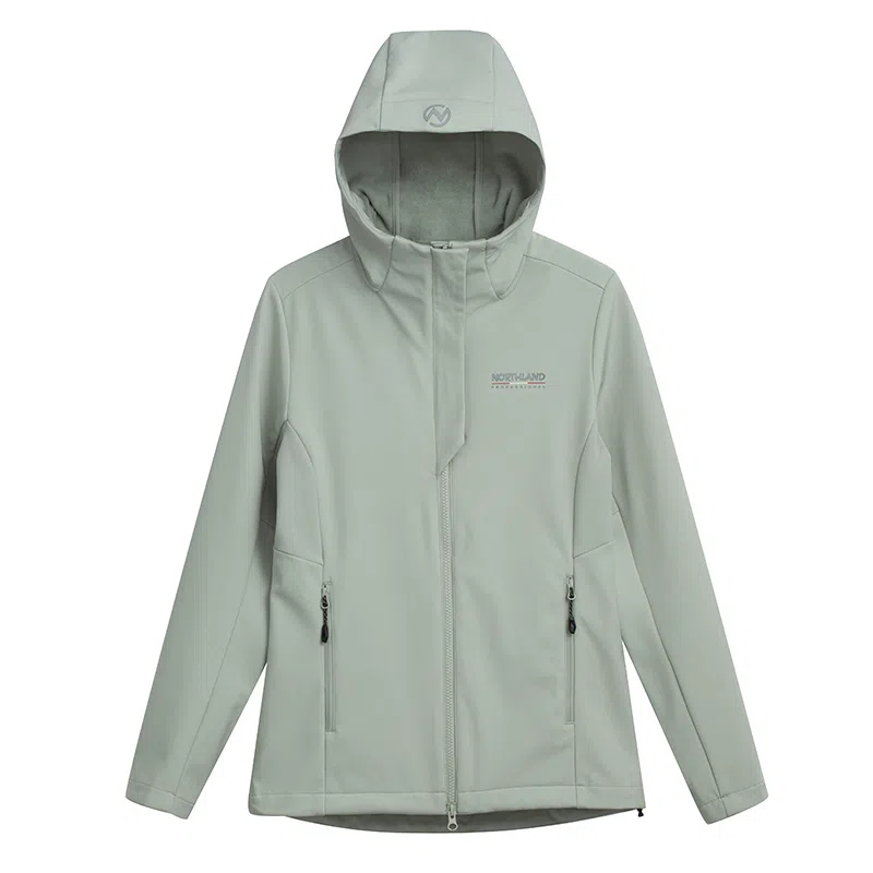 NORTHLAND PROFESSIONAL