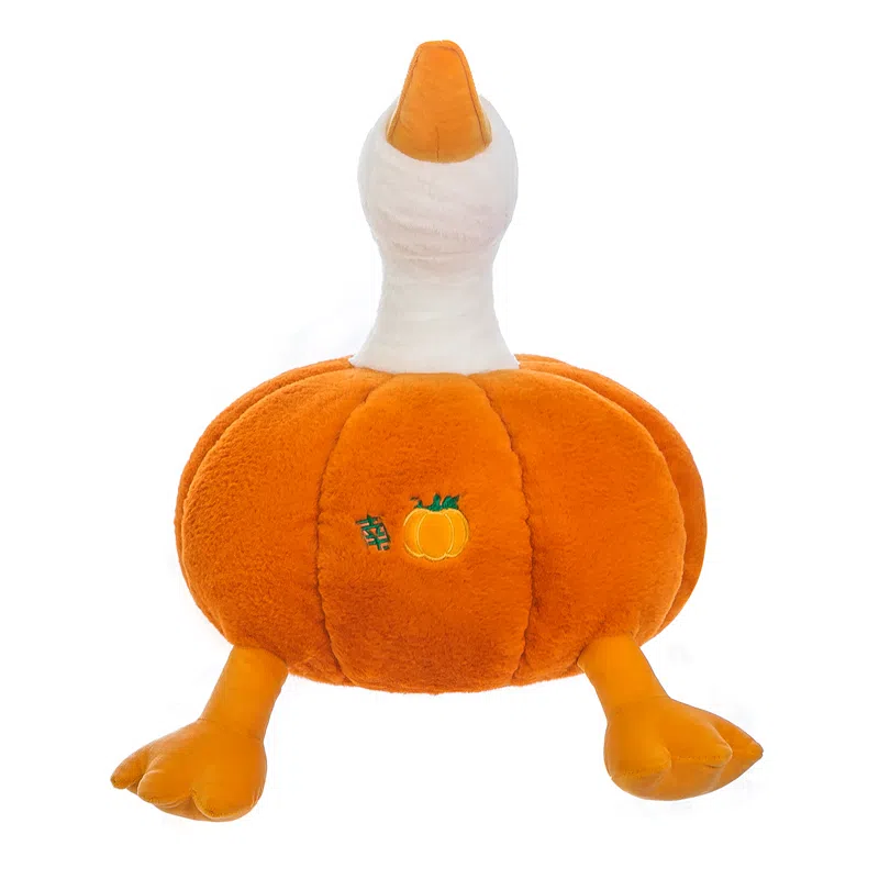35cm55cm