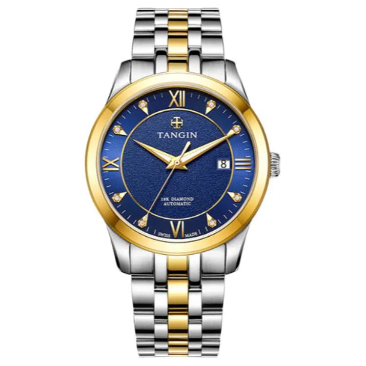 TANGIN 18K 41mm T3025GYBJB