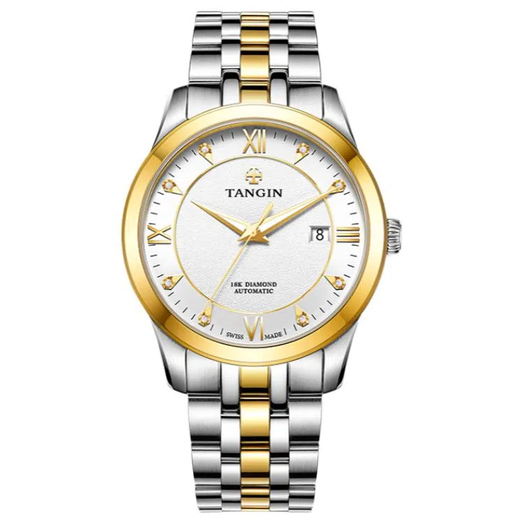 TANGIN 18K 41mm T3025GYWJB