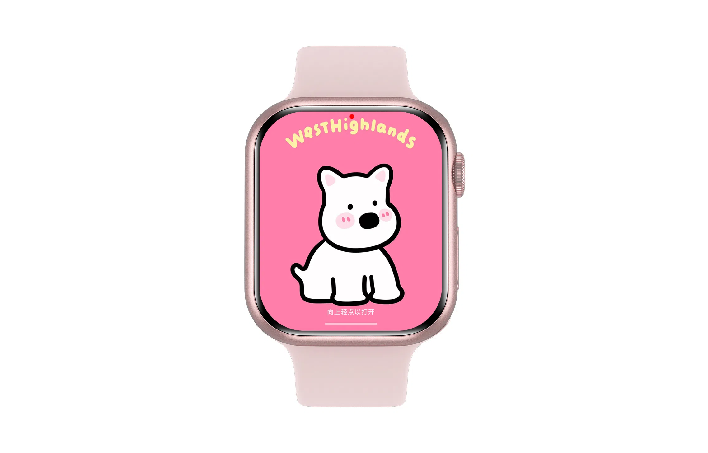 JOKER CAT S9mini - 41MM