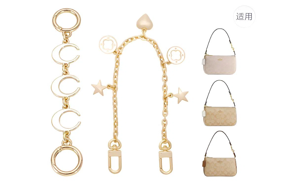 GUYI COACH Nolita 19 diy