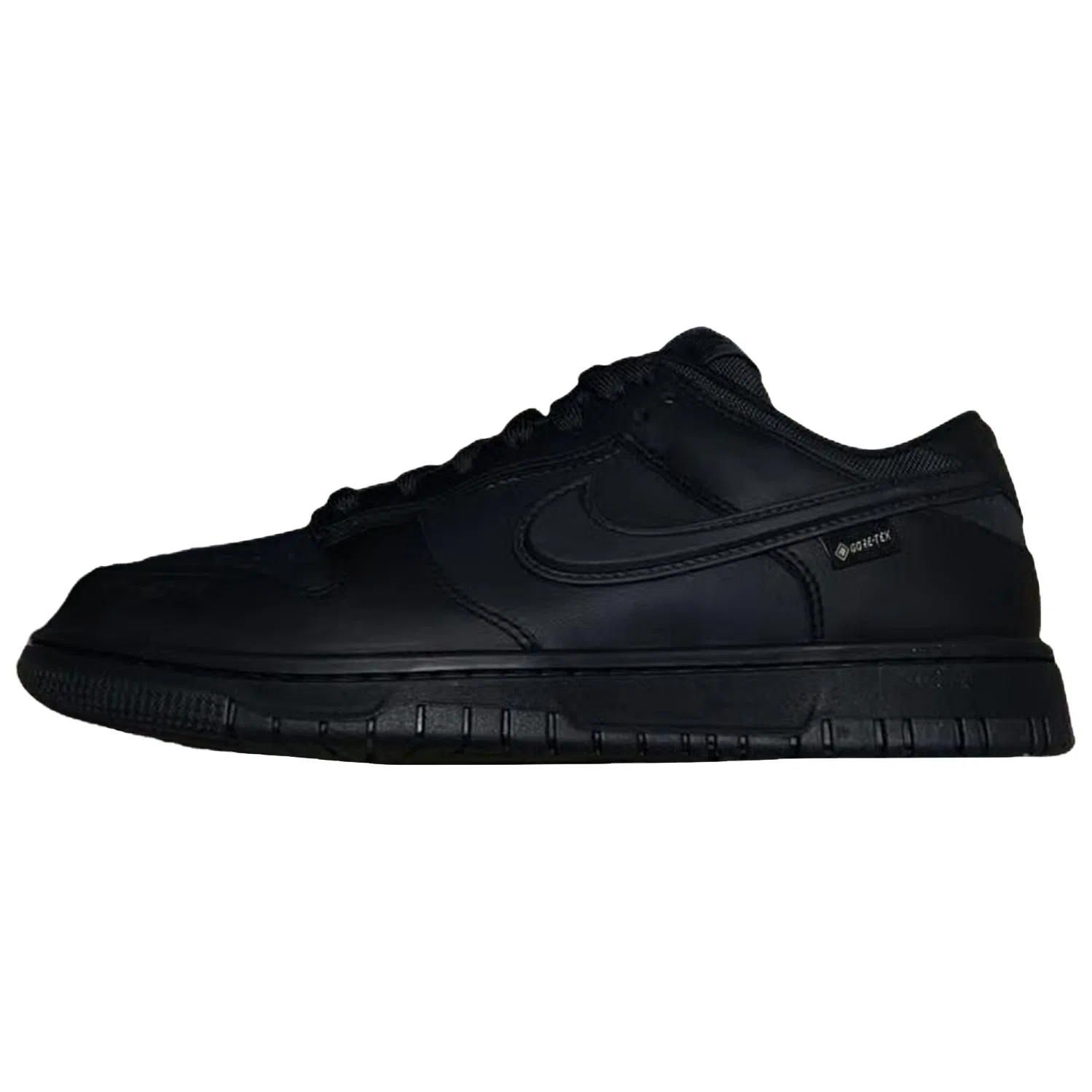 Nike Dunk Gore-Tex Low Black
