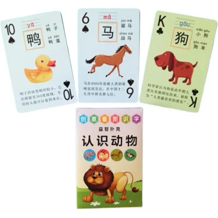 极慧猫 学习牌 其他桌游