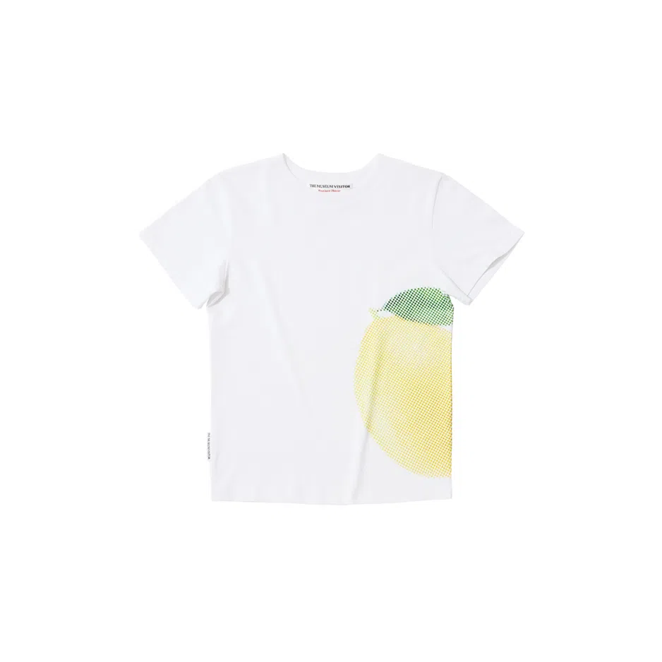 THE MUSEUM VISITOR T