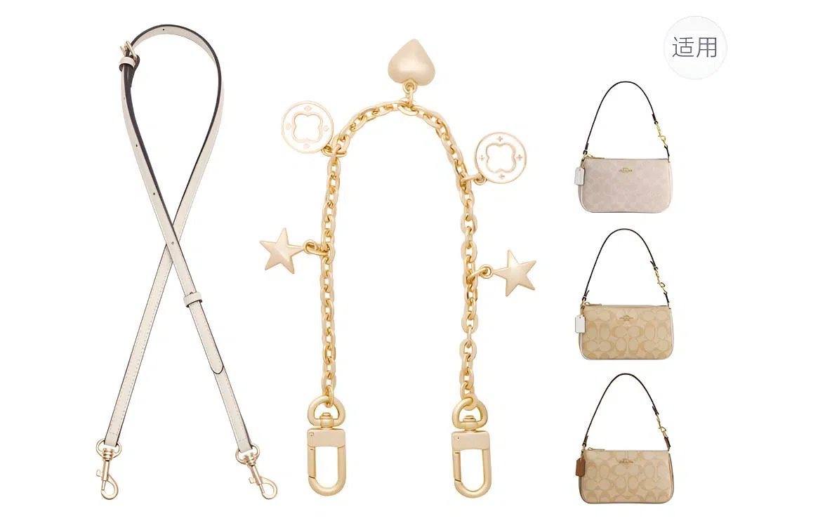 GUYI COACH Nolita 19 diy