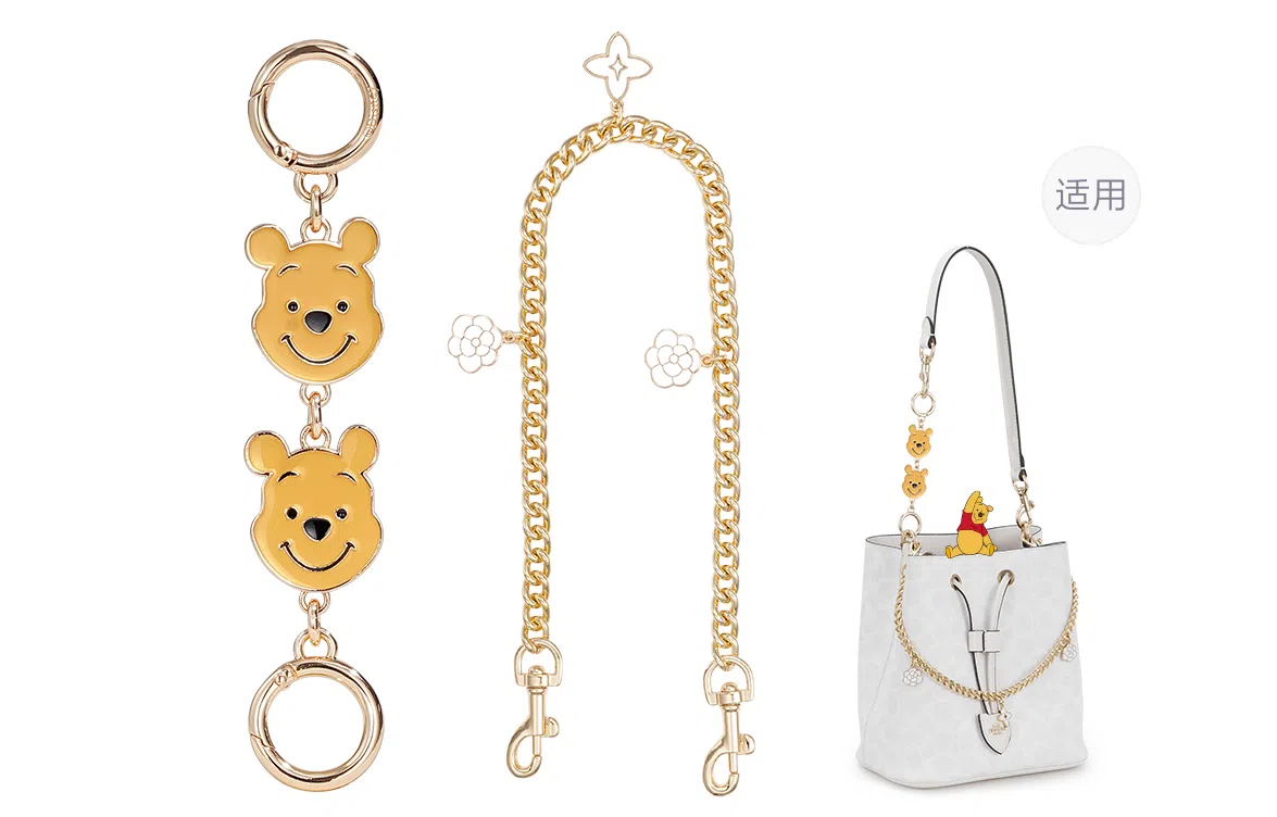 Disney COACH Rowan 22 diy