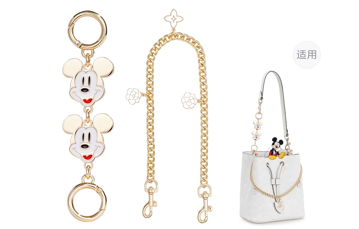 Disney COACH Rowan 22 diy