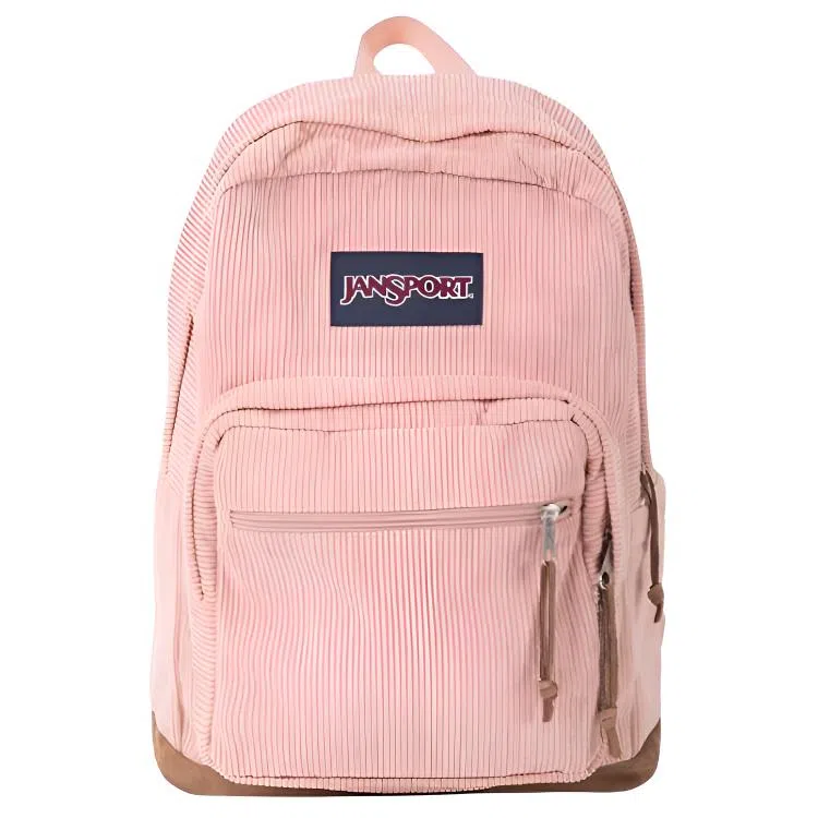 JanSport 28L