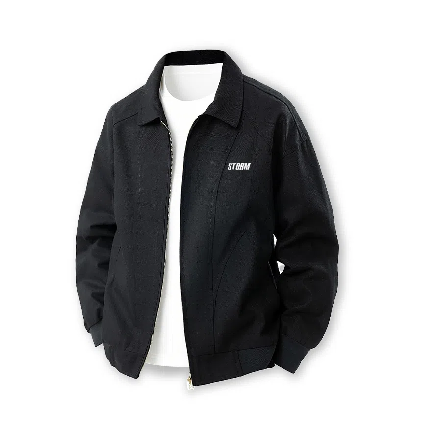 Lightning X Storm LOGO