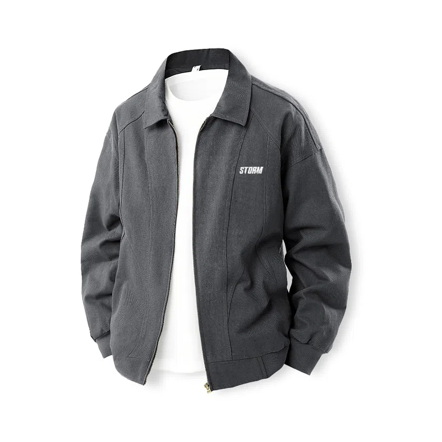 Lightning X Storm LOGO