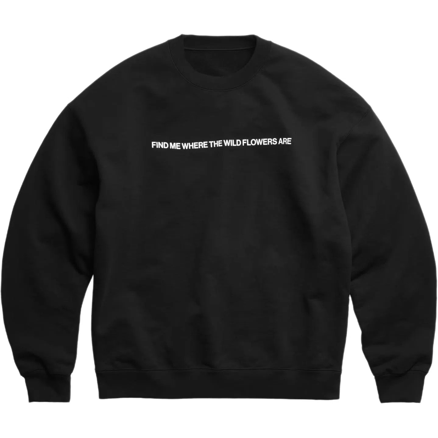 Canada Goose Snow Goose FW25