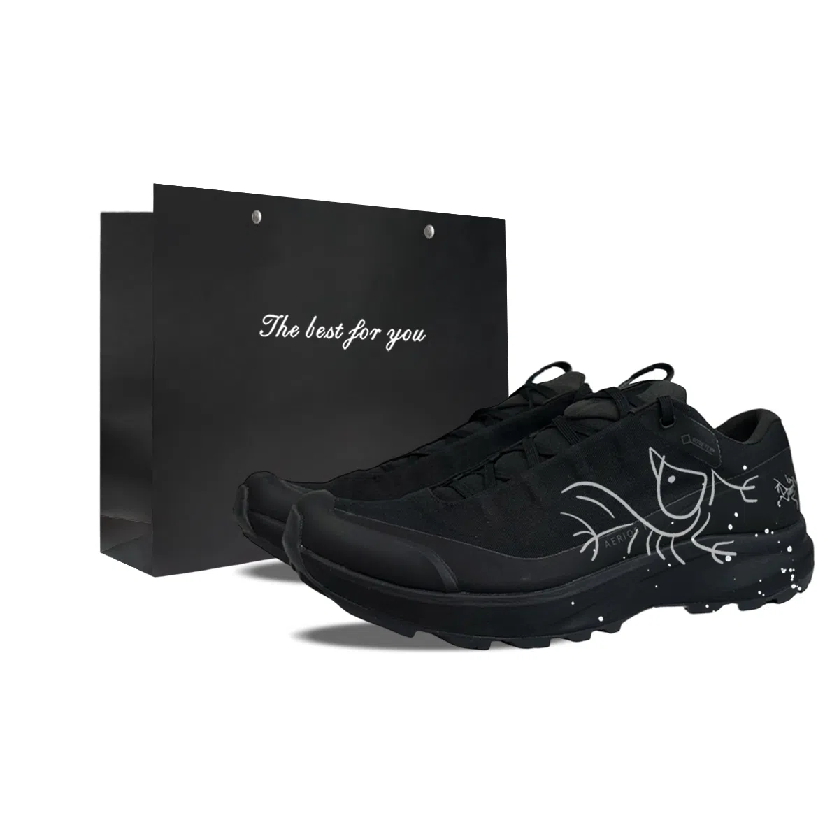 Arcteryx AERIOS FL GTX