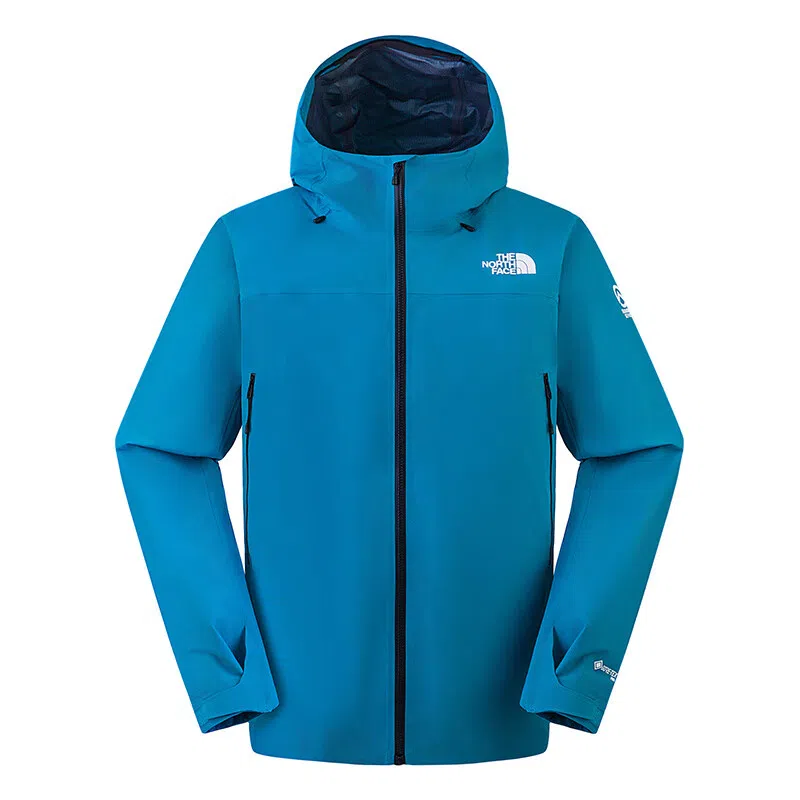 THE NORTH FACE SUMMIT Cayesh GTX PRO logo