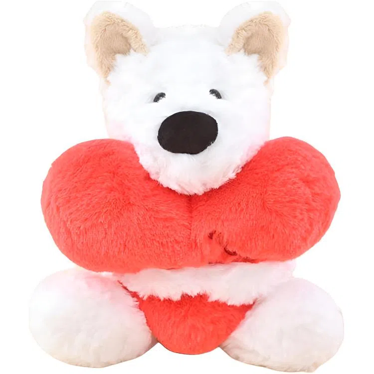 X2HOMME 25cm