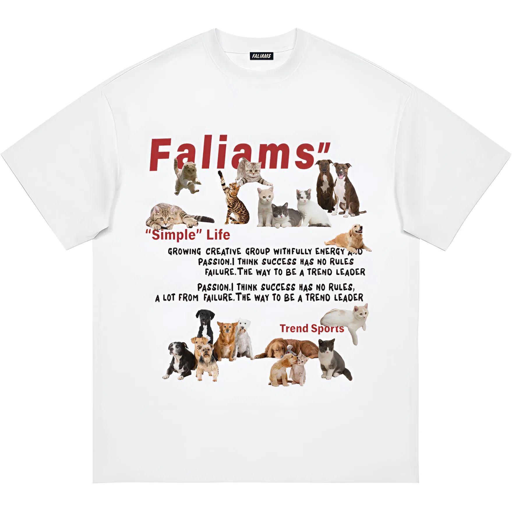 FALIAMS LogoT