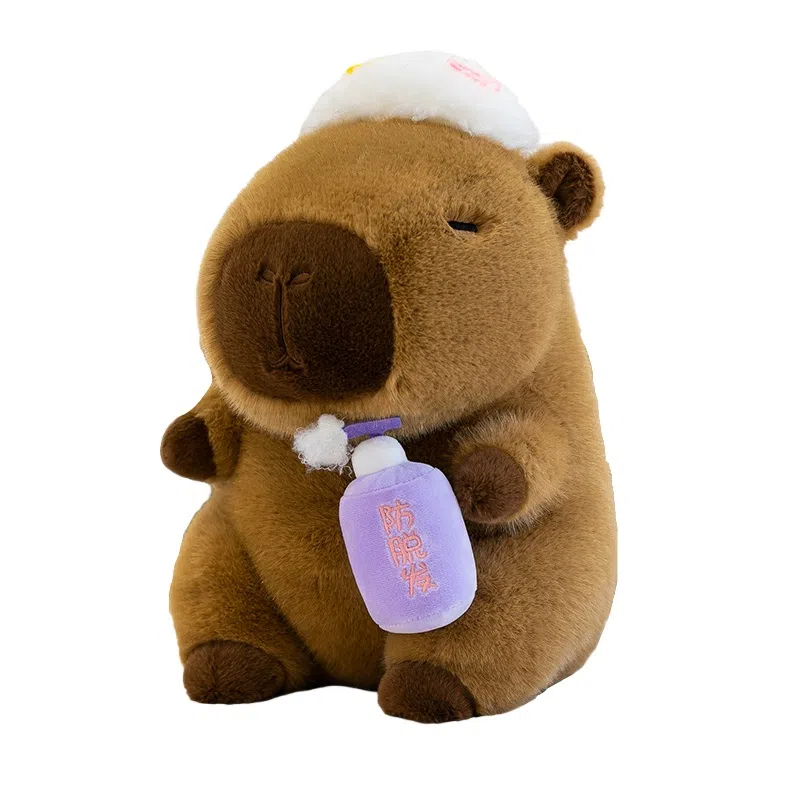 lionf 22cm30cm