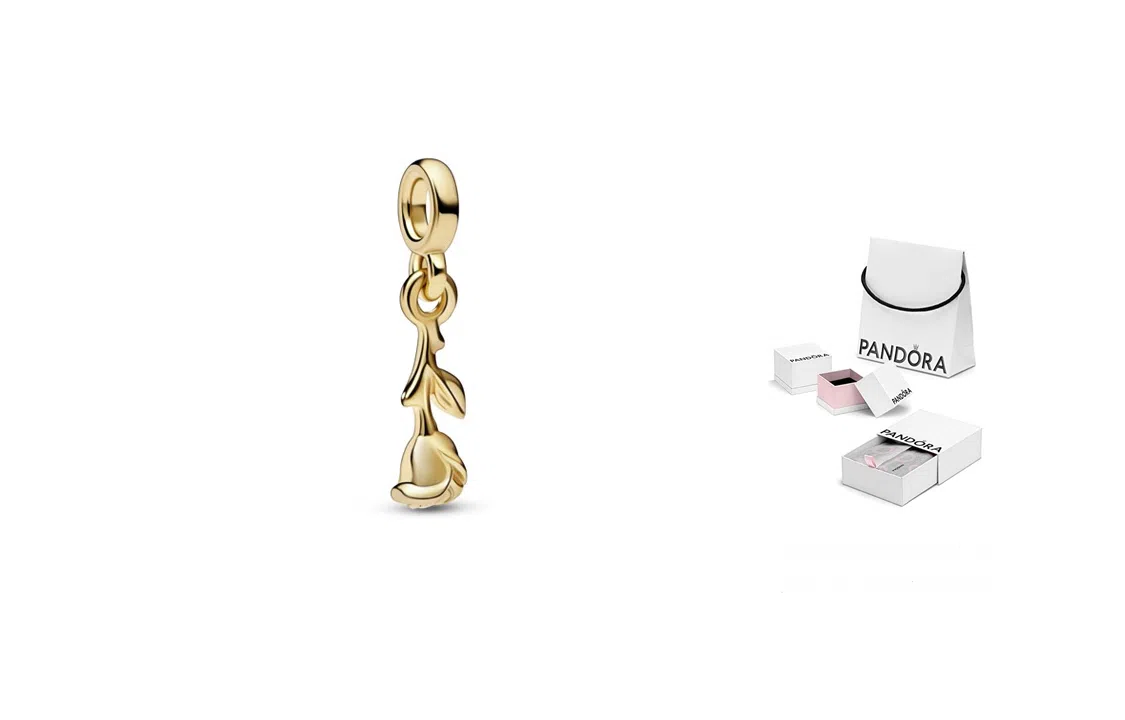 Pandora ME 3D 925 DIY
