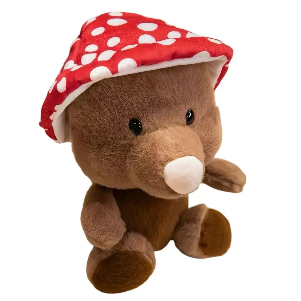 Brangdy 25cm35cm