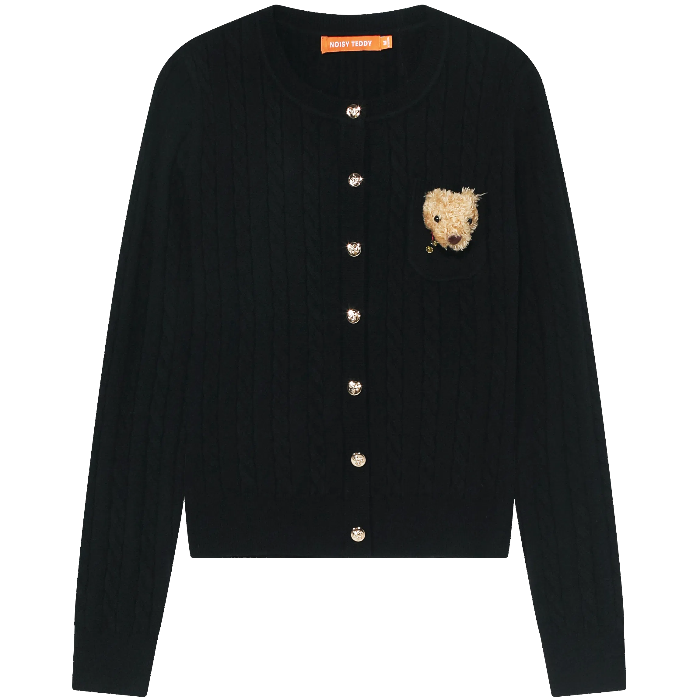 NOISY TEDDY