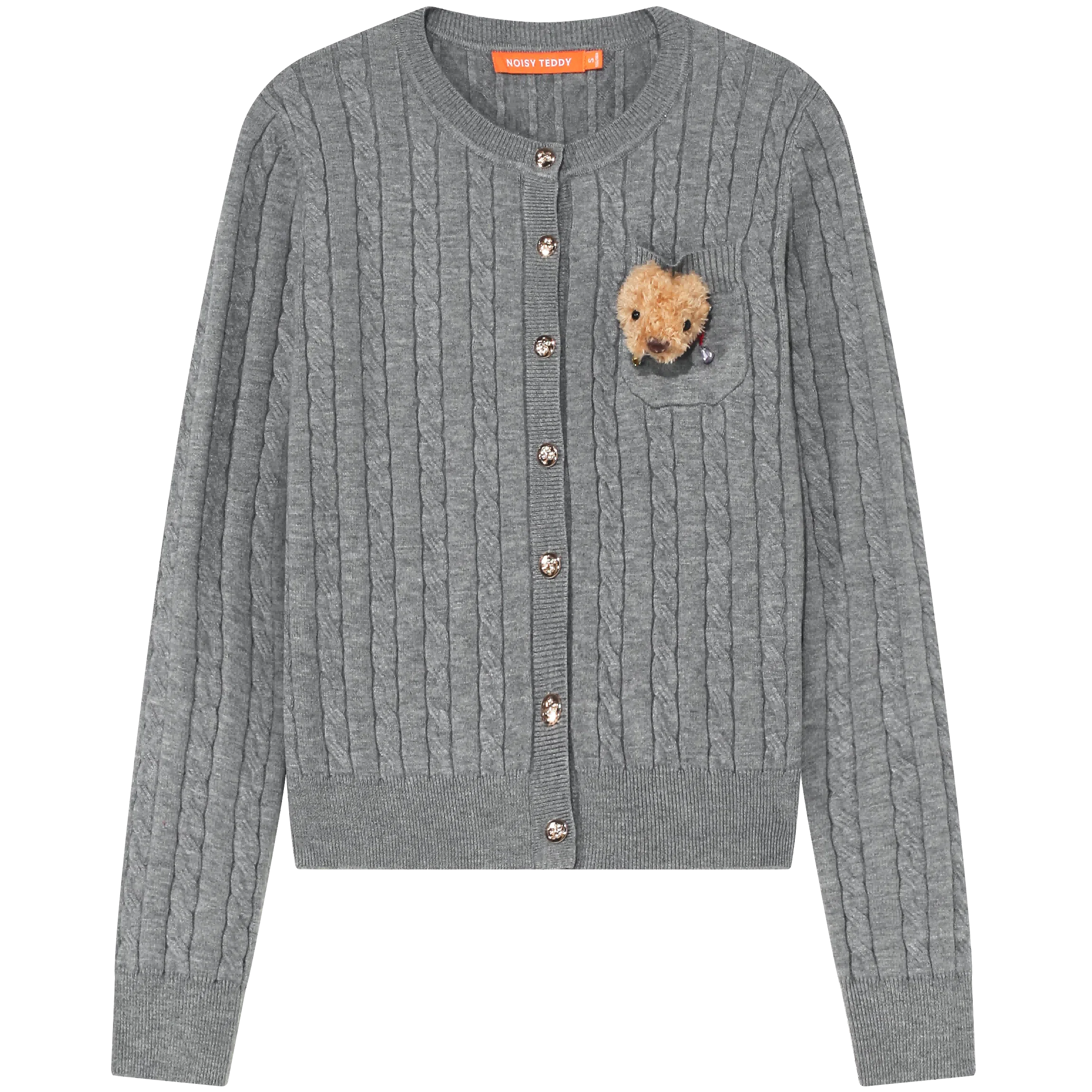 NOISY TEDDY