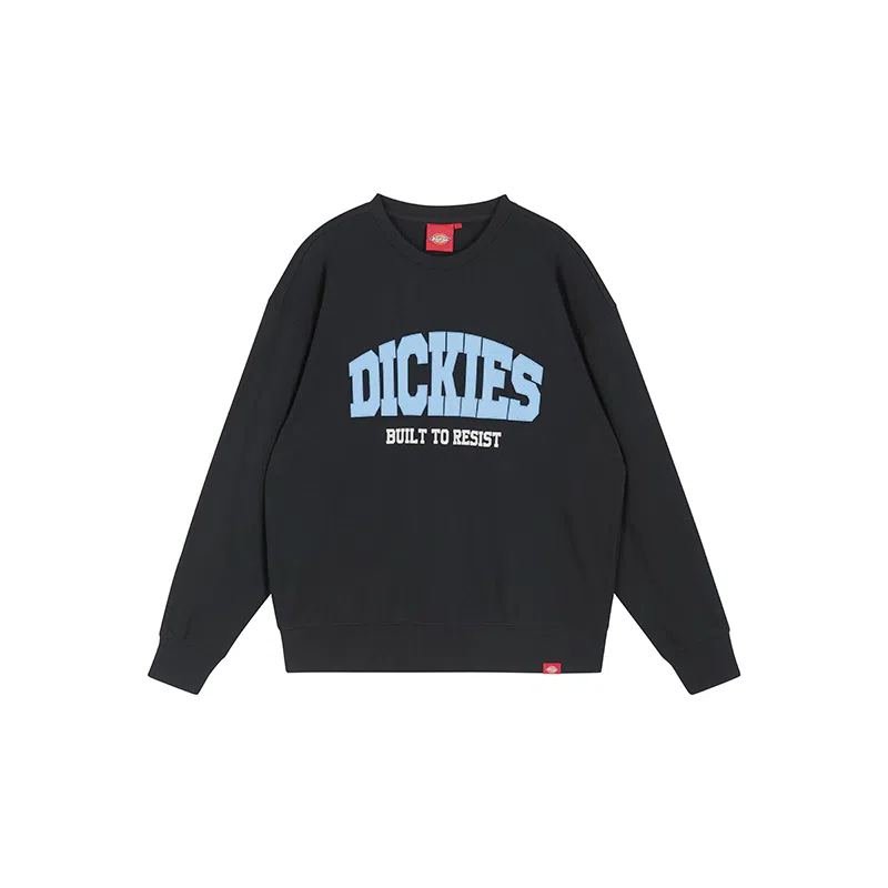 Dickies 25LOGODK0A8869