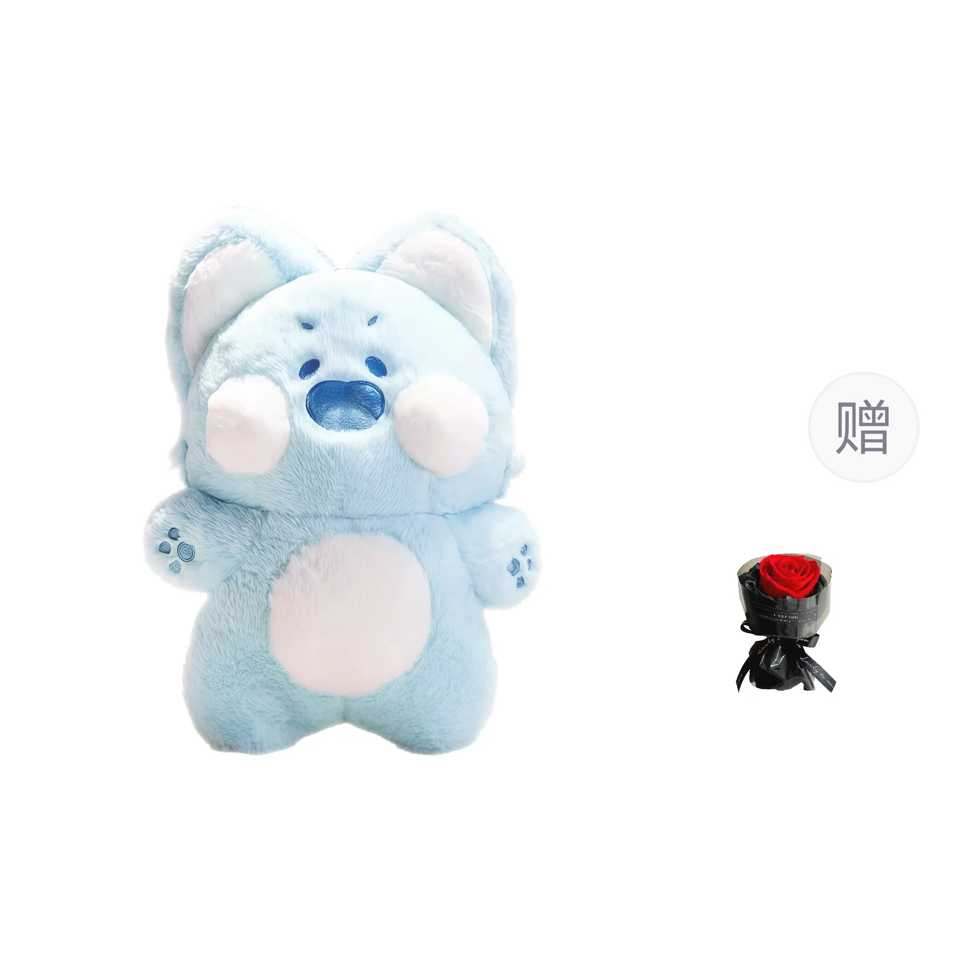 50cm60cm100cm