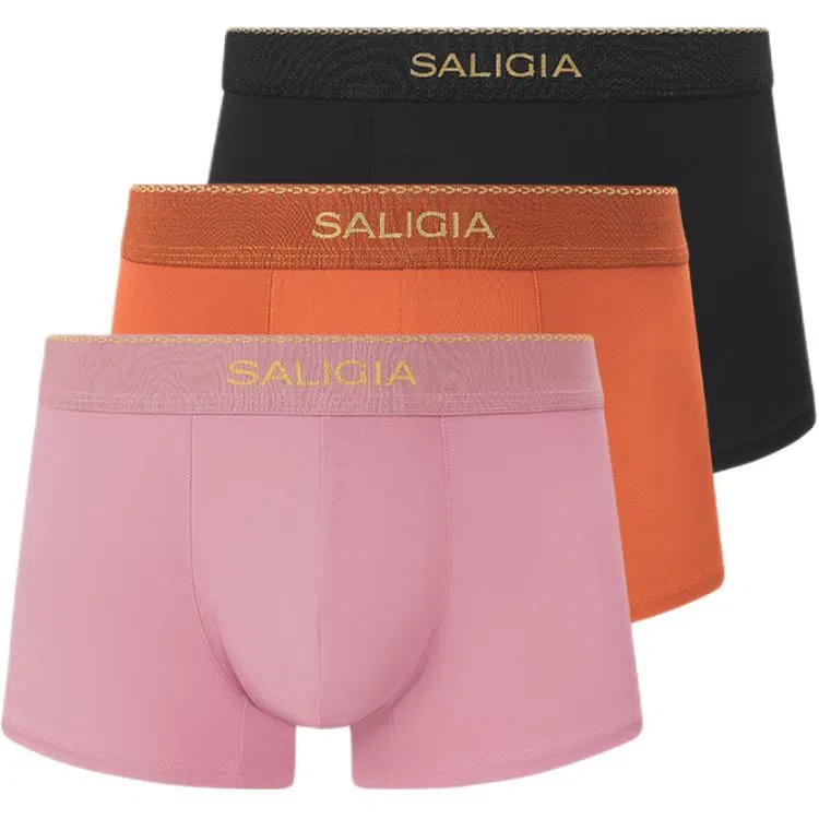 SALIGIA 3