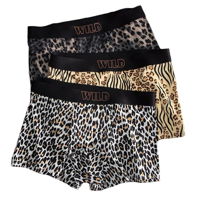 BANGBOY X IZTION 2025