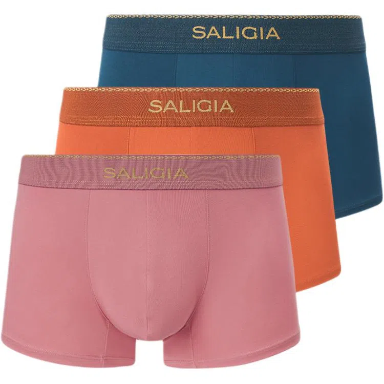 SALIGIA 3