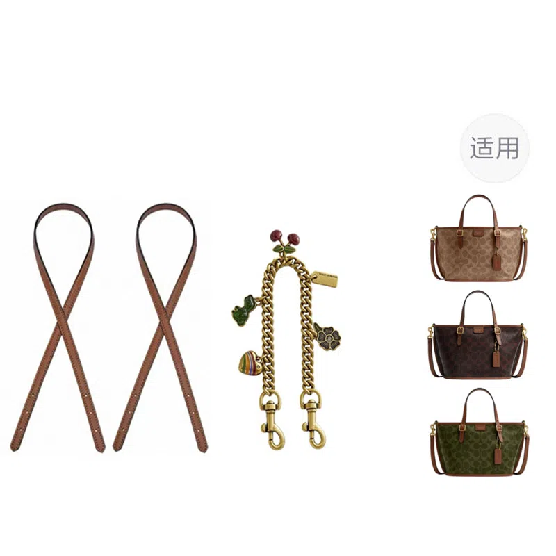 jingxi coachTaxi21