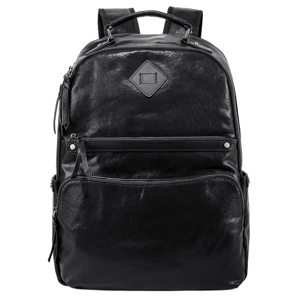 Ace Paul Backpack