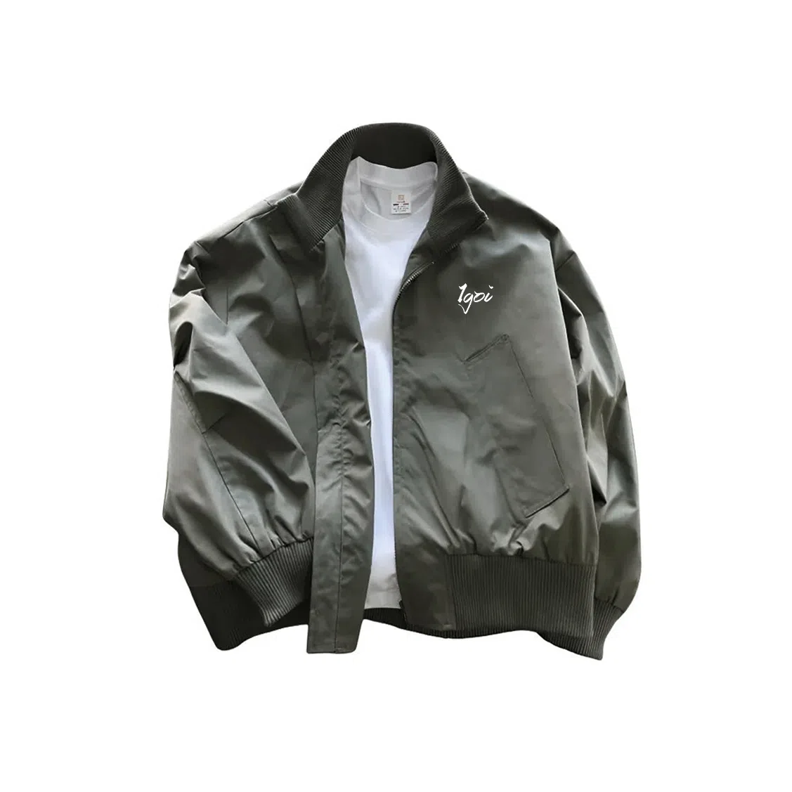 IGOI cleanfitLOGO