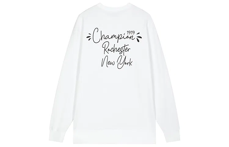 Champion FW25 BASIC