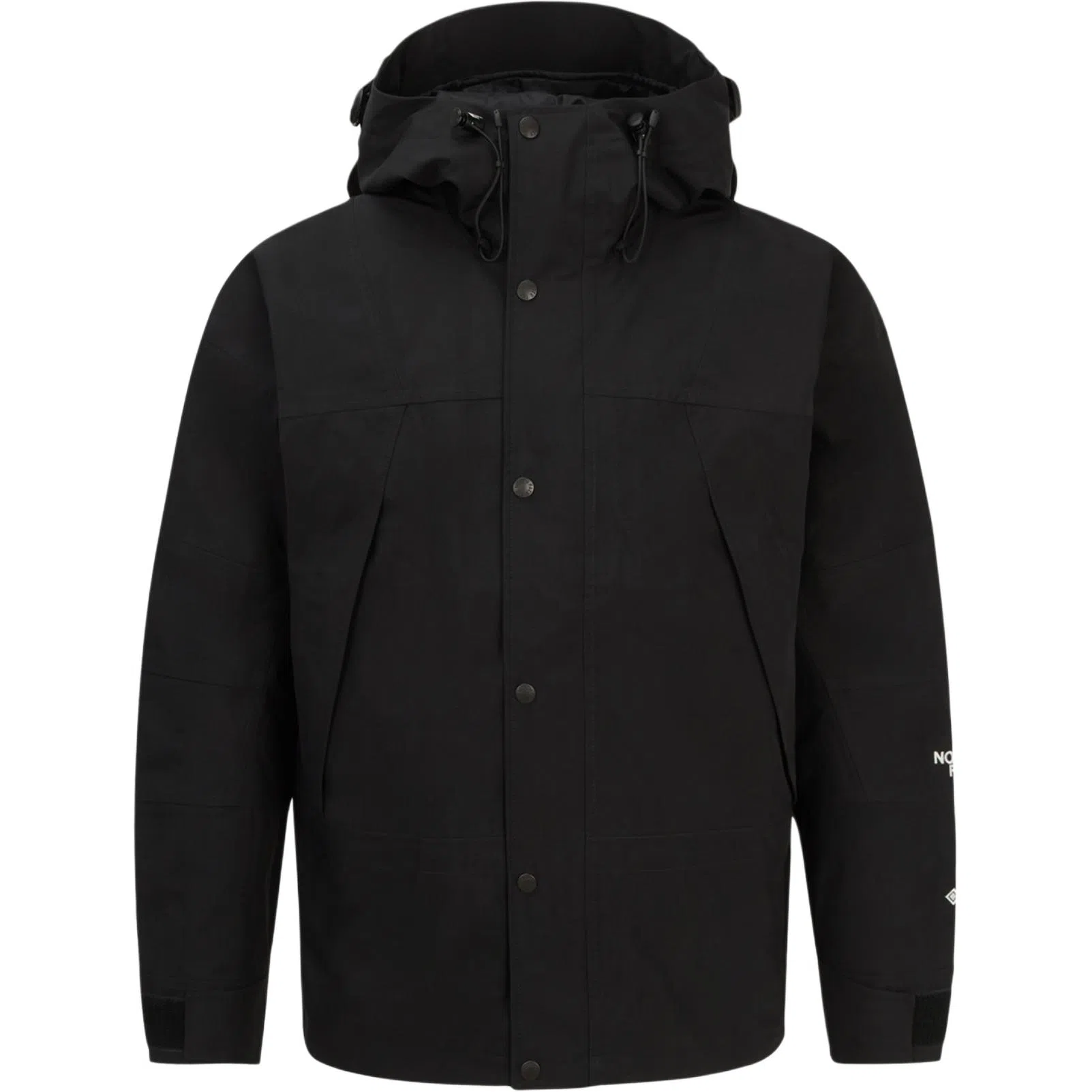 THE NORTH FACE 1994 Gtx Mountain Logo