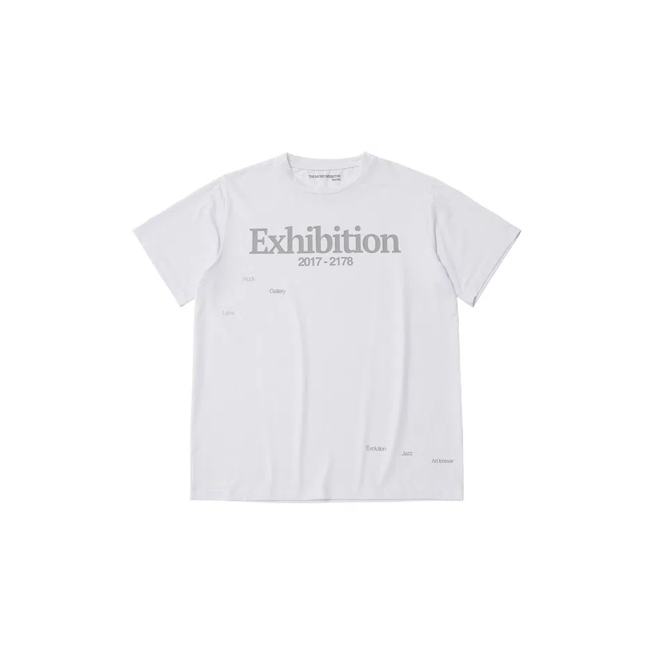 THE MUSEUM VISITOR T
