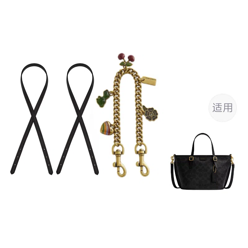 Coach Taxi21 Totediy