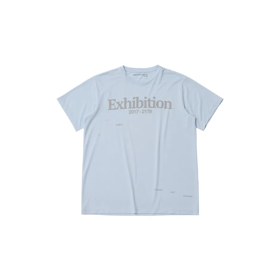 THE MUSEUM VISITOR T