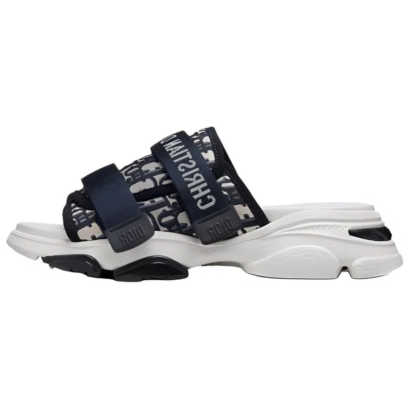 DIOR D-Wander