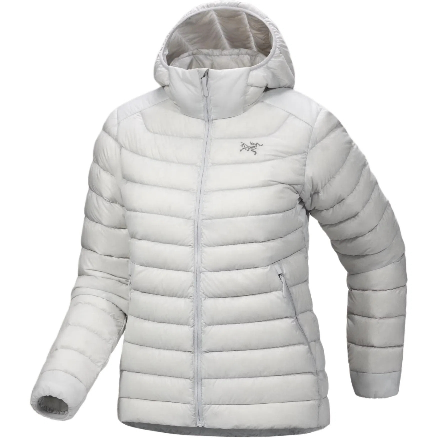 Arcteryx Cerium LT 850logo