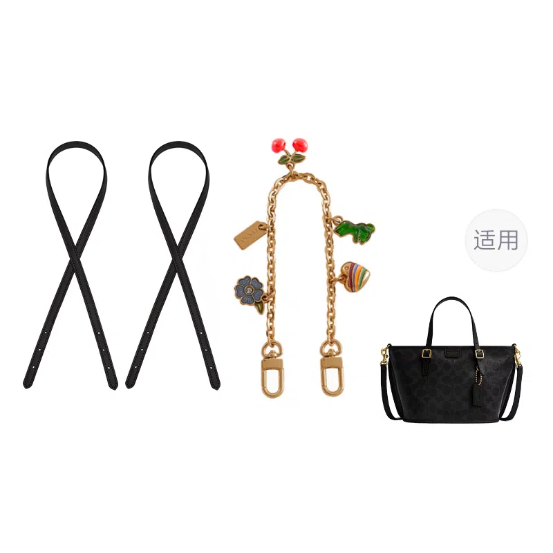 Coach Taxi21 Totediy