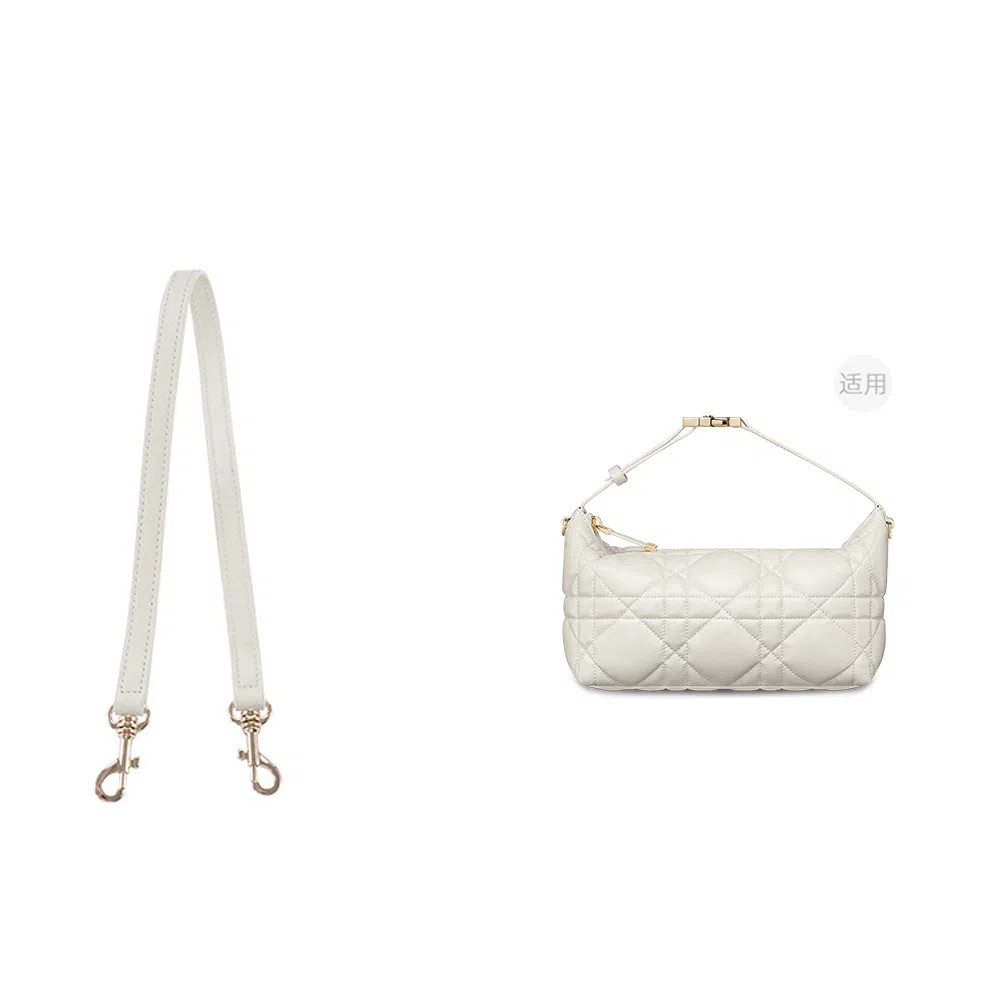 diorTravel Nomad Oblique