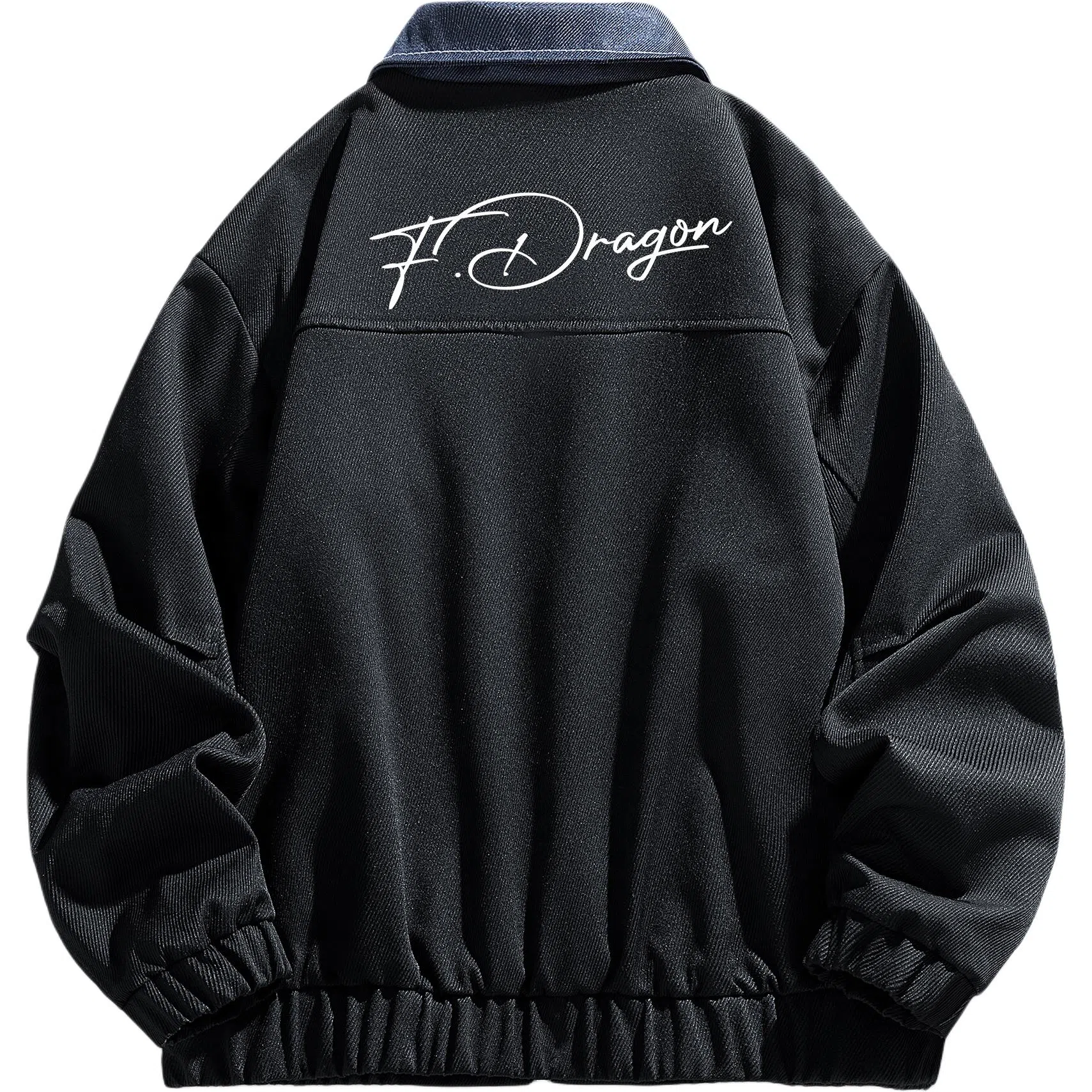 fdragon LOGO