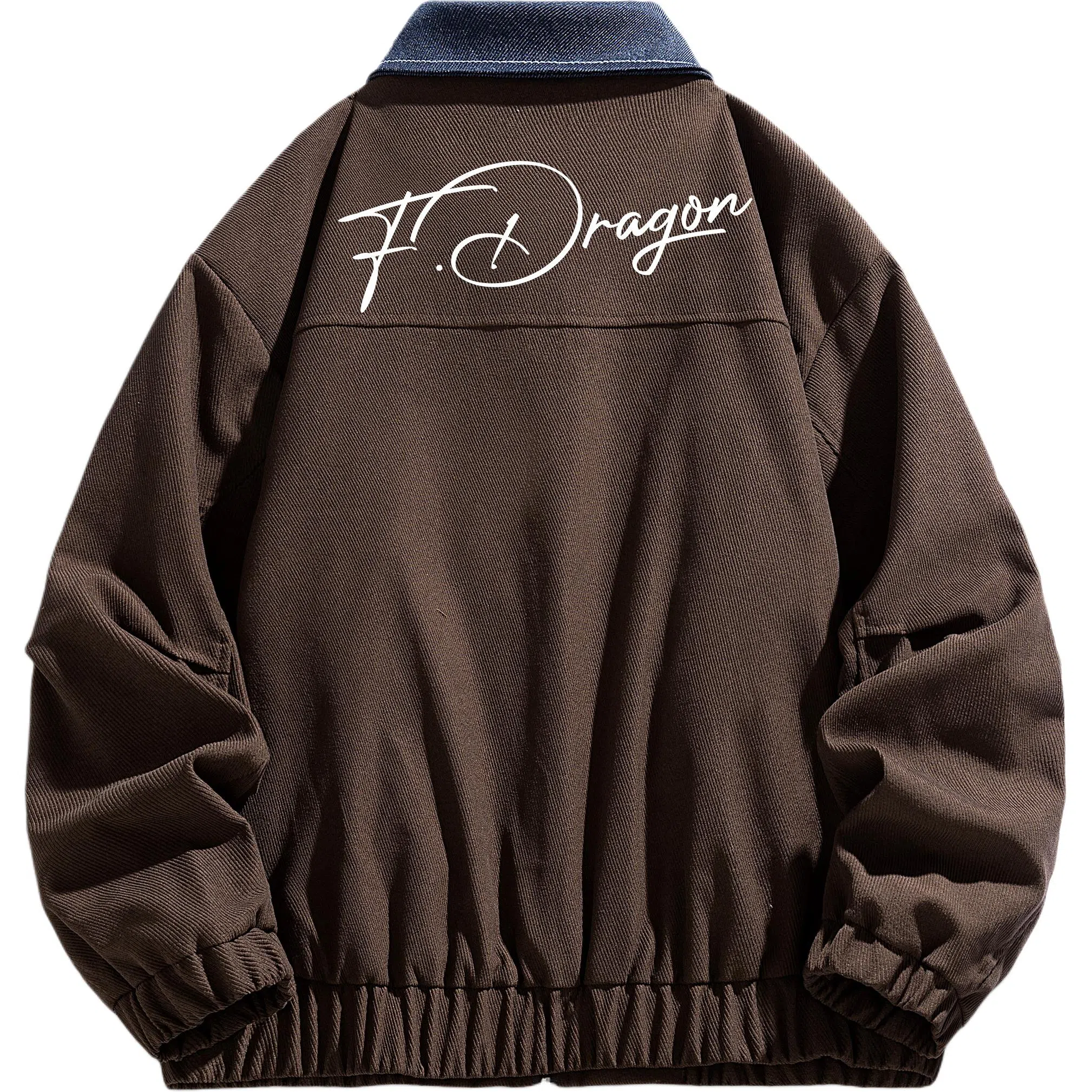 fdragon LOGO