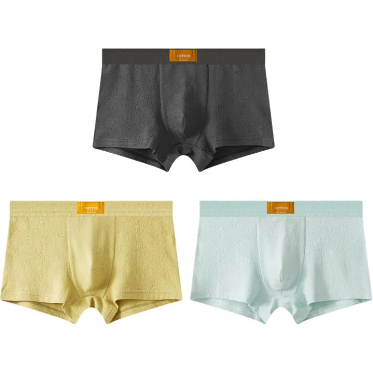 BANGBOY X IZTION 1007A