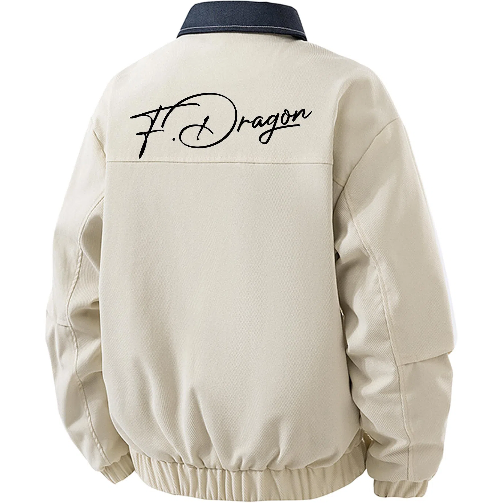 fdragon LOGO