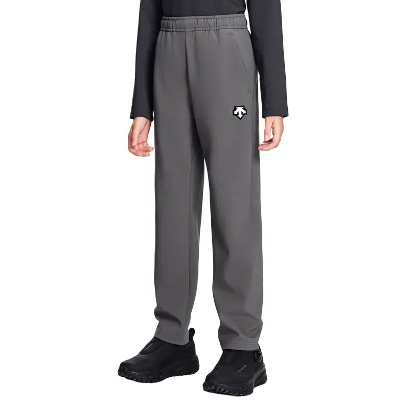 DESCENTE SKI STYLE Logo