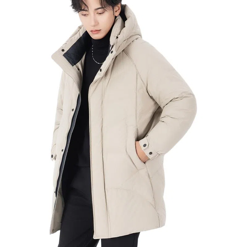 ASSIDUOUS CONFUSED EFFORT 2025